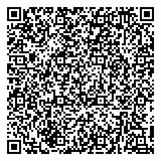 vCard 79216240318
