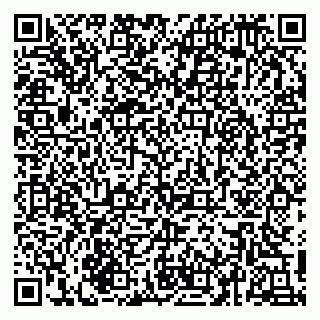 vCard 79216240328
