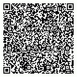 vCard 79216243304