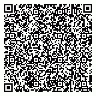 vCard 79216243733