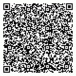 vCard 79216247299