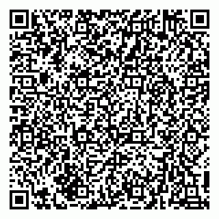 vCard 79216247403