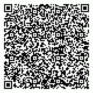 vCard 79216248013