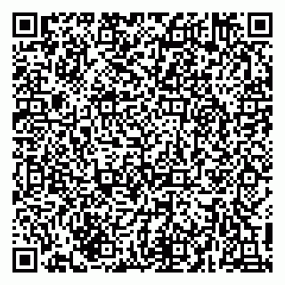 vCard 79216249013