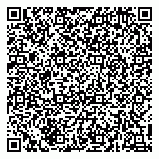 vCard 79216249019