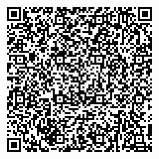 vCard 79216249335
