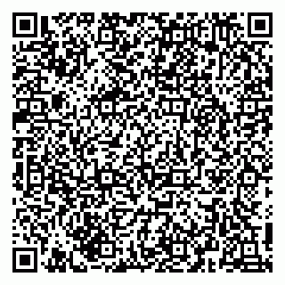 vCard 79216249385