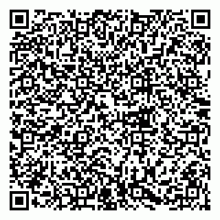 vCard 79216249387