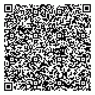 vCard 79216251339