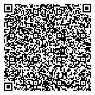 vCard 79216263939