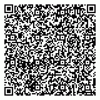 vCard 79216273039