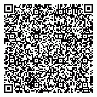 vCard 79216281299