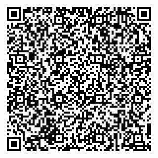 vCard 79216291939