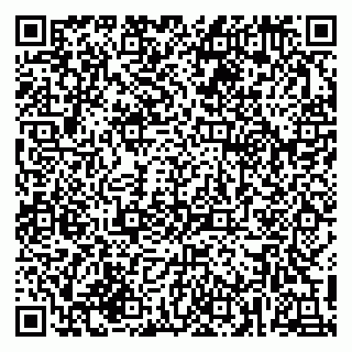 vCard 79216294039