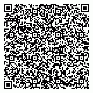 vCard 79216297039