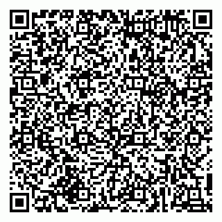 vCard 79216299039