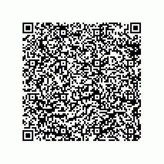 vCard 79216300017