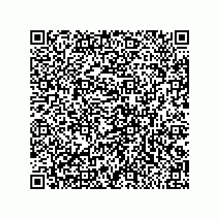 vCard 79216300021