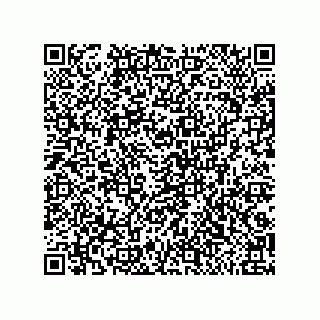 vCard 79217400002