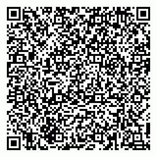 vCard 79218013039
