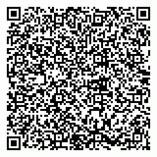 vCard 79218040039