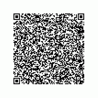 vCard 79219987333