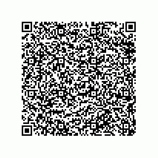 vCard 79219987381