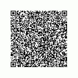 vCard 79219990003