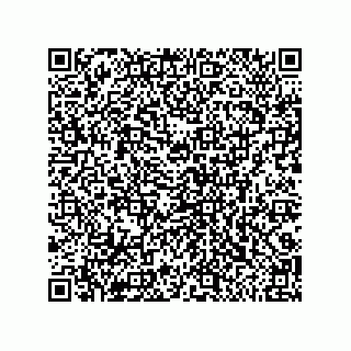 vCard 79219990009