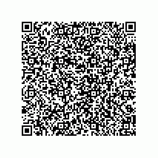 vCard 79219991031
