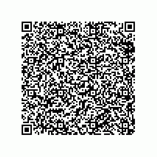 vCard 79219991213