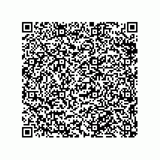 vCard 79219993333