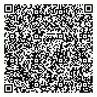 vCard 79222400291