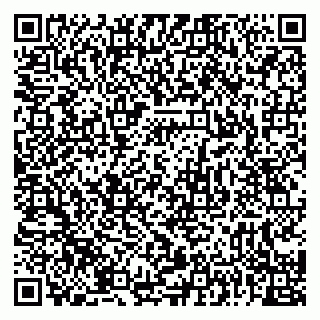 vCard 79222400297
