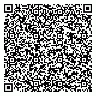 vCard 79222400389