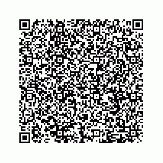 vCard 79224002011