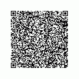 vCard 79225000413