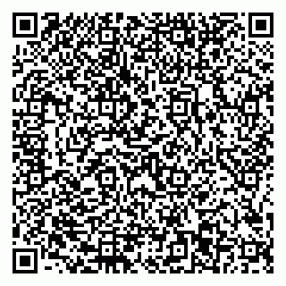 vCard 79226203629