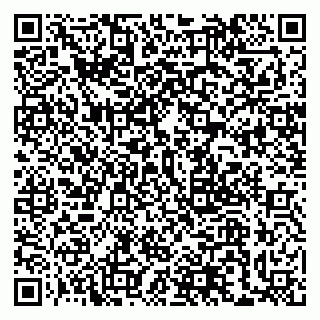 vCard 79228265687
