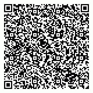 vCard 79234000173