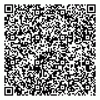 vCard 79234000215
