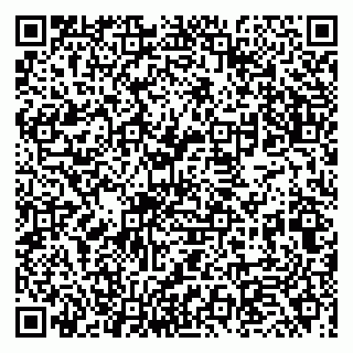 vCard 79234000399