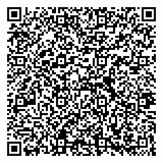vCard 79234580039