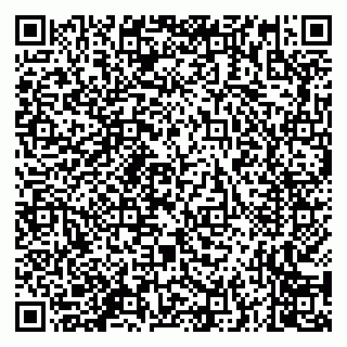 vCard 79235600294