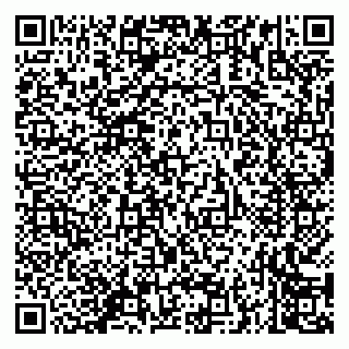 vCard 79235600317
