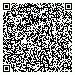 vCard 79235600384