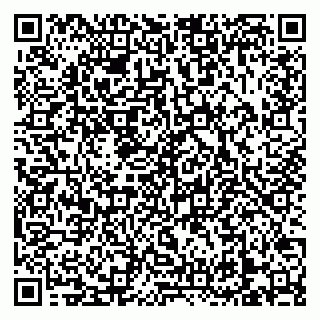 vCard 79238040003