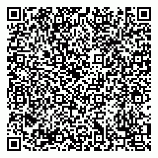 vCard 79238040013
