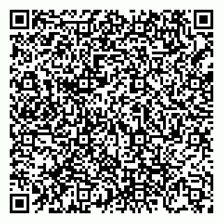 vCard 79238040033