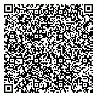 vCard 79238040040